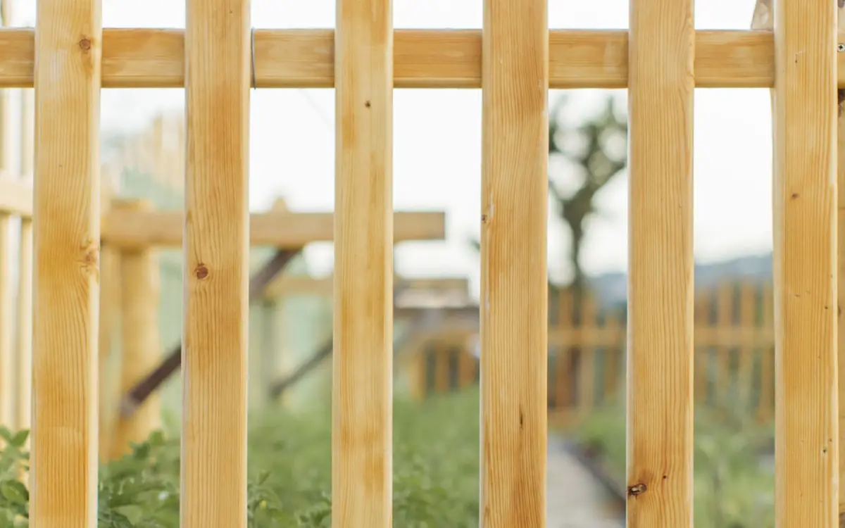 New natural wood picket gate in a garden