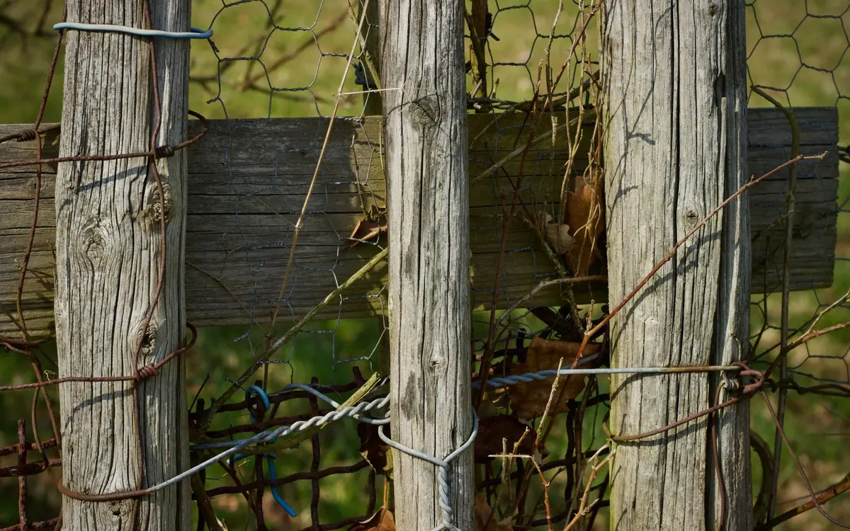 Old weathered wood fence posts with rusted wire and broken boards