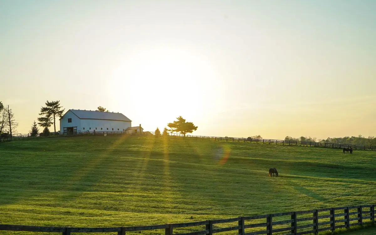 Black four-board horse fence across a green pasture at sunrise with a white barn