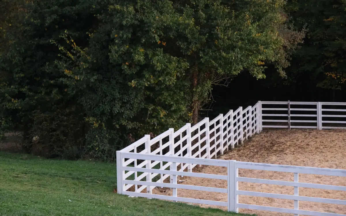 White rail fence enclosing a paddock beside dark green trees